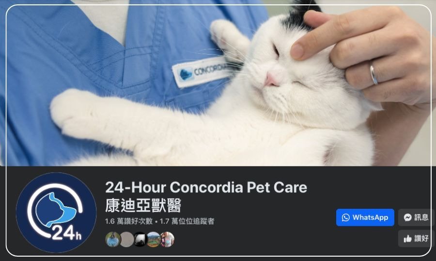 24-Hour Concordia Pet Care 康迪亞獸醫 