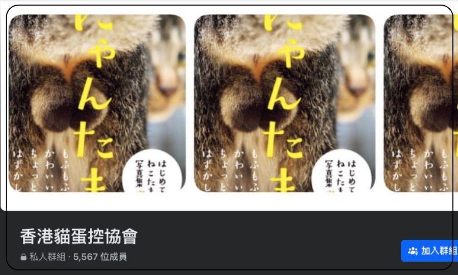 香港貓蛋控恊會