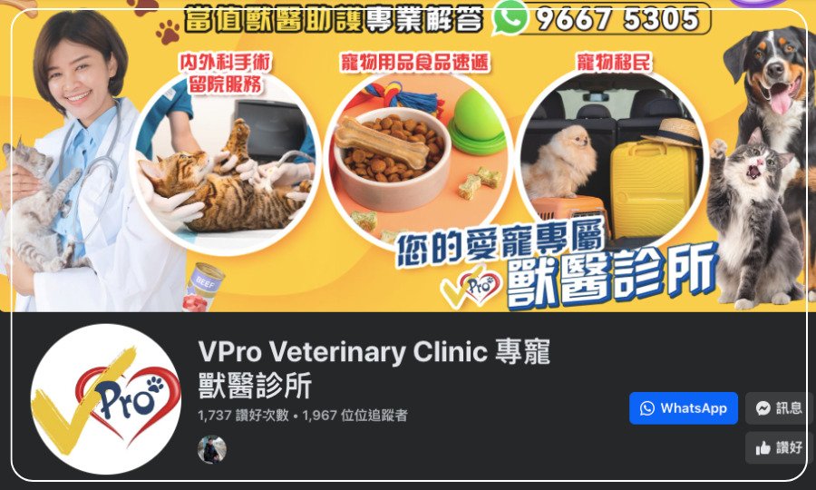 專寵獸醫診所 
