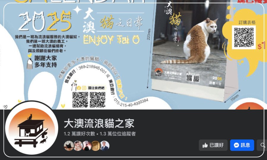 大澳流浪貓之家