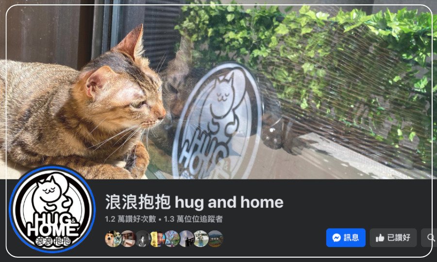 浪浪抱抱。