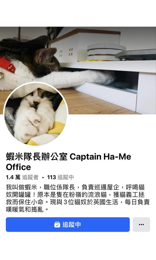 蝦米隊長辦公室