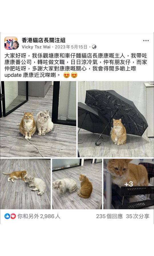 康和車仔麵貓店長康康