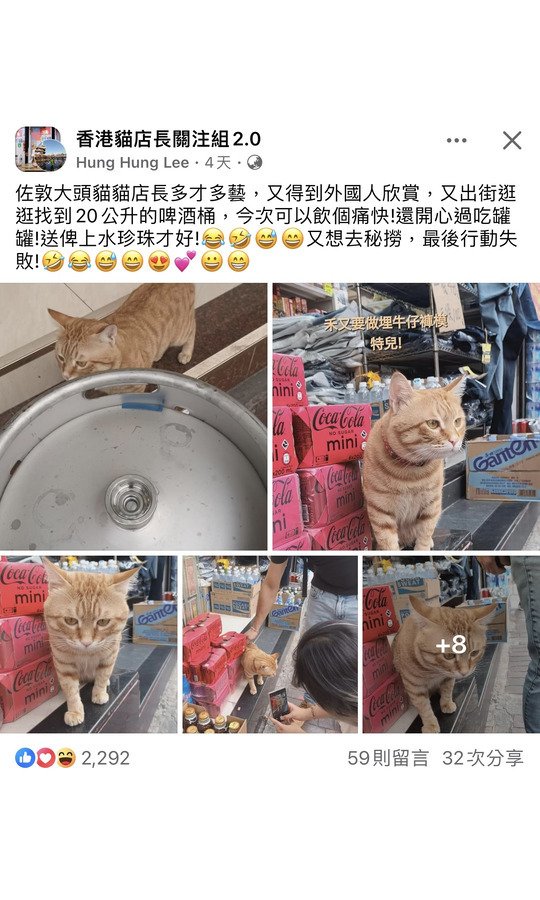 佐敦大頭貓貓店長多才多藝