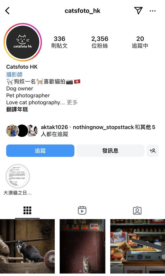 Catsfoto_hk