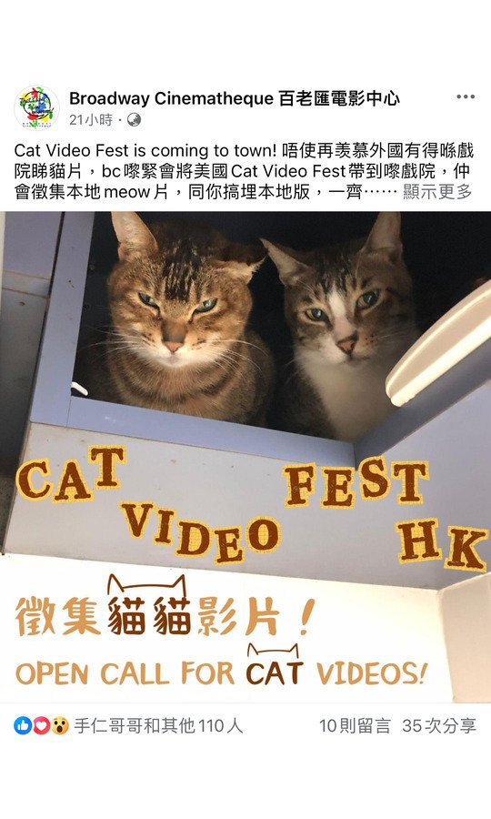 Cat Video Fest is coming to town! 