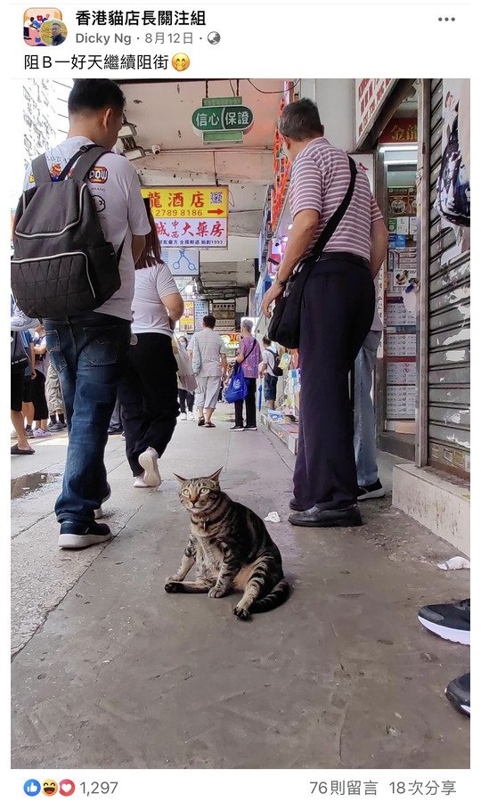 阻B一好天繼續阻街