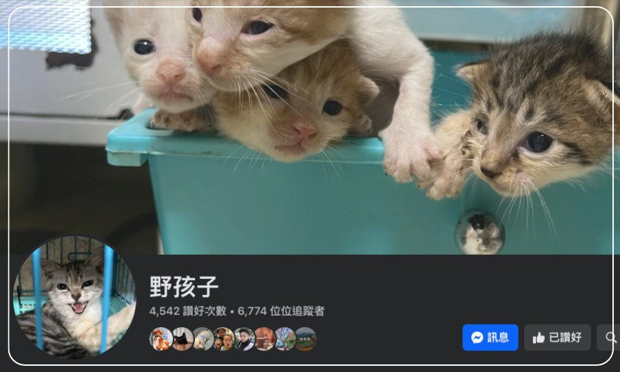 野孩子。。