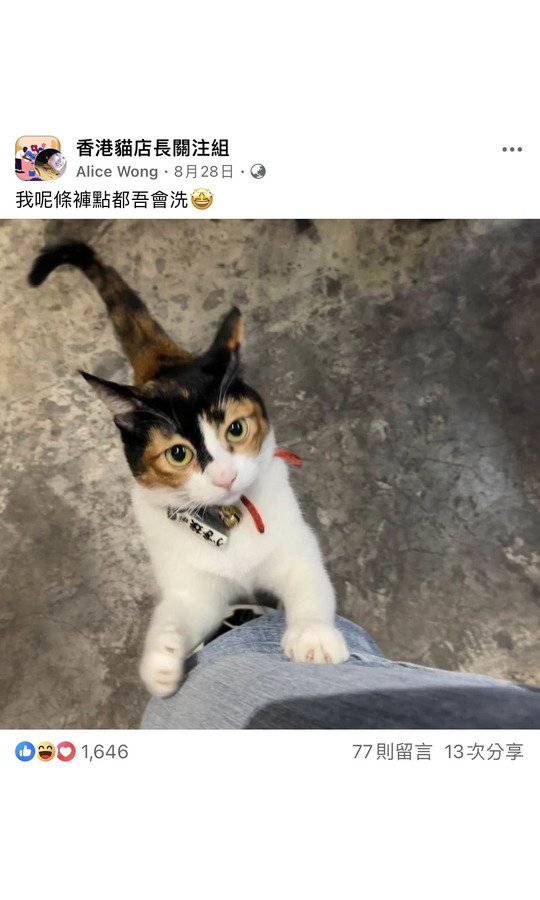 我呢條褲點都吾會洗