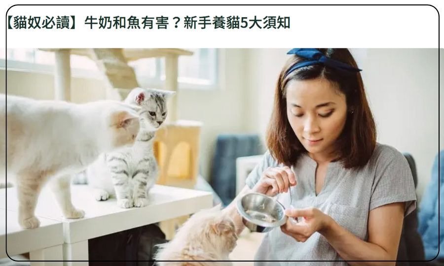 【貓奴必讀】牛奶和魚有害？新手養貓5大須知 FWD