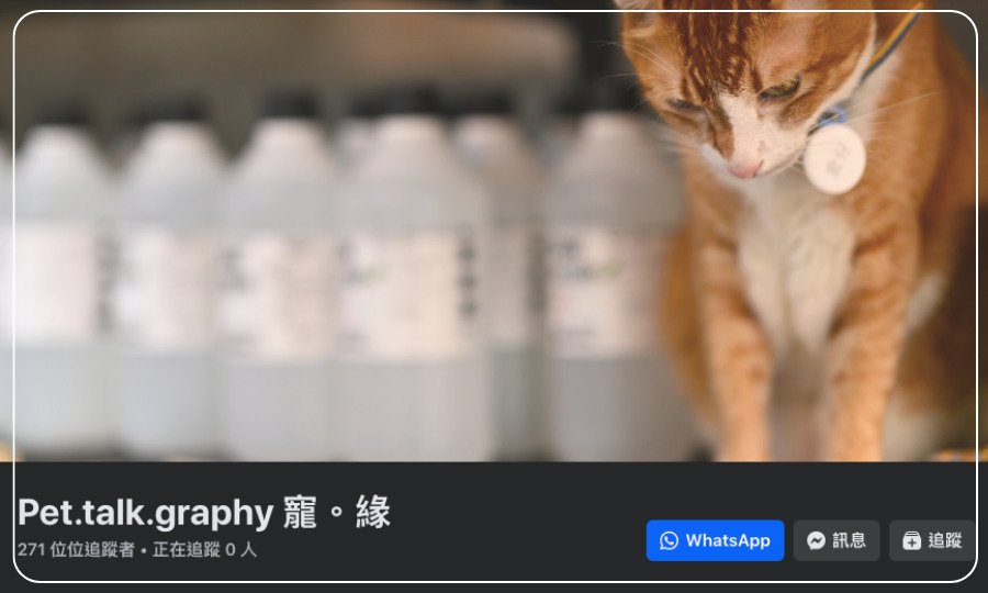 Pet.talk.graphy 竉。緣