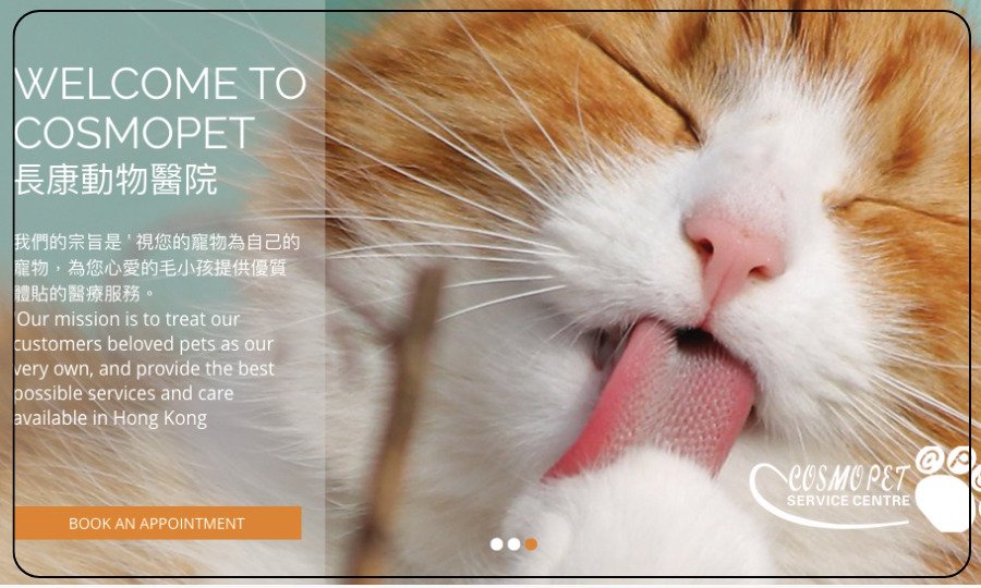 北角長康動物醫院