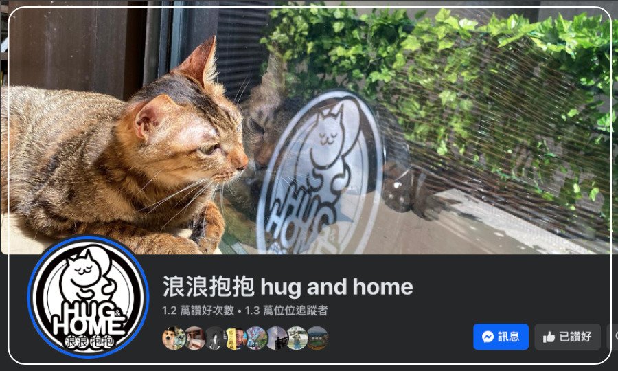 浪浪抱抱 hug and home