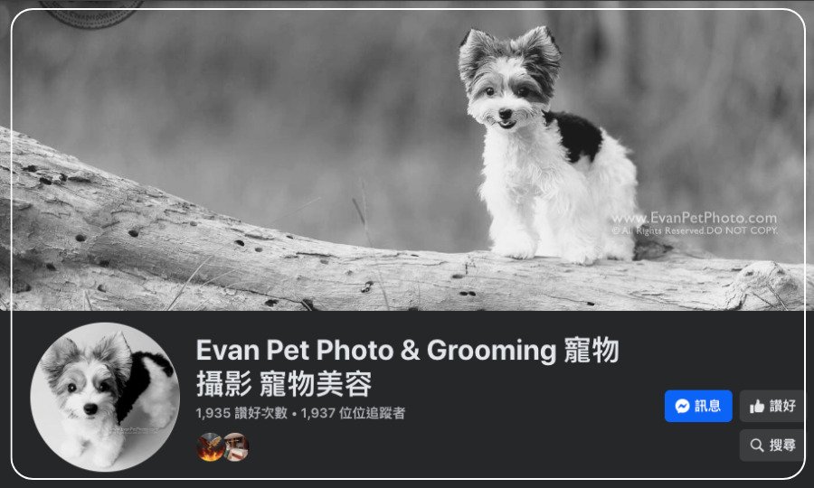Evan Pet Photo & Grooming 寵物攝影 寵物美容