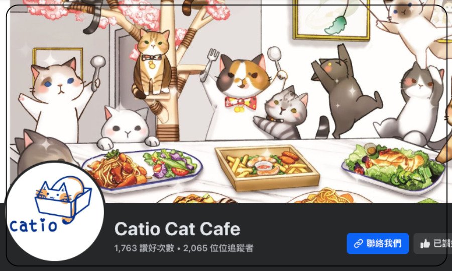 Catio Cat Cafe